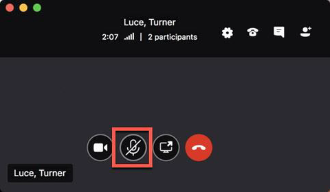 Button to mute yourself during a Skype for Business call